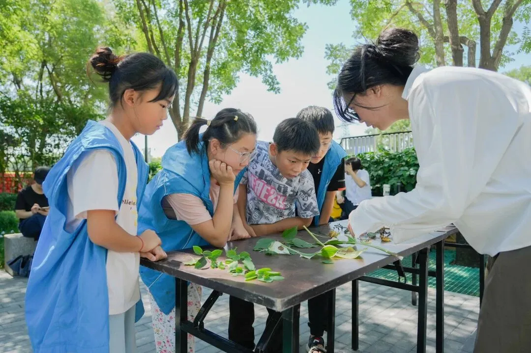 图片5.png
