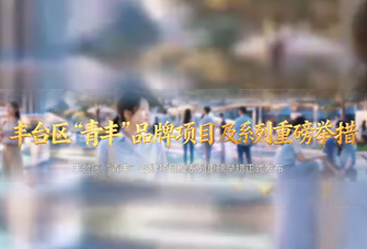 “青丰”品牌项目